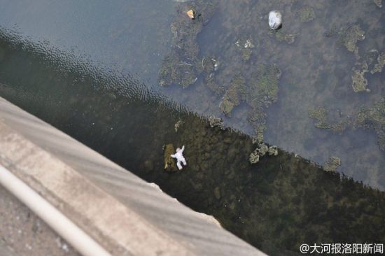 被年轻夫妻扔进河里的小孩。