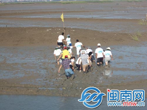 陈万里带着学生们参加种植红树林的活动