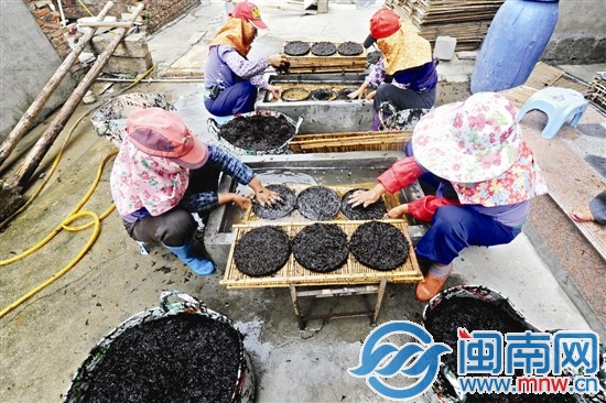 当地人说，清洗用井水，做出来的紫菜更好吃