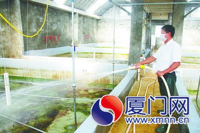 工人在给空荡荡的虾池消毒