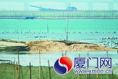 工人说新发现的疑似埋毒点就在中间那根竹子下面