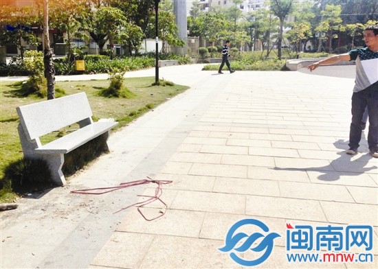 碎心石广场舞mp3_碎心石广场舞40步_碎心石