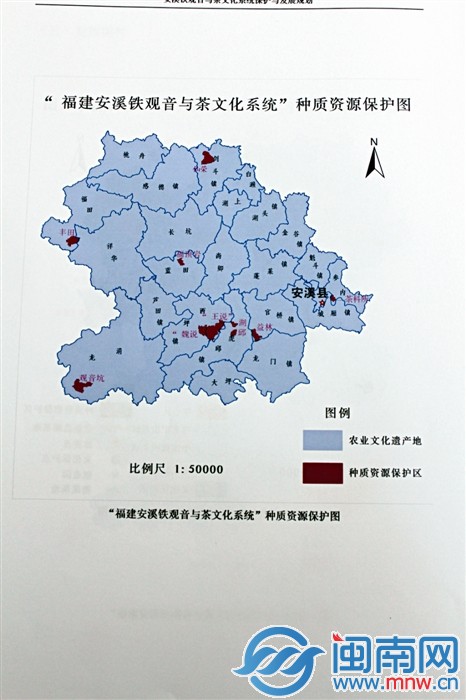 “福建安溪铁观音与茶文化系统”种质资源保护图