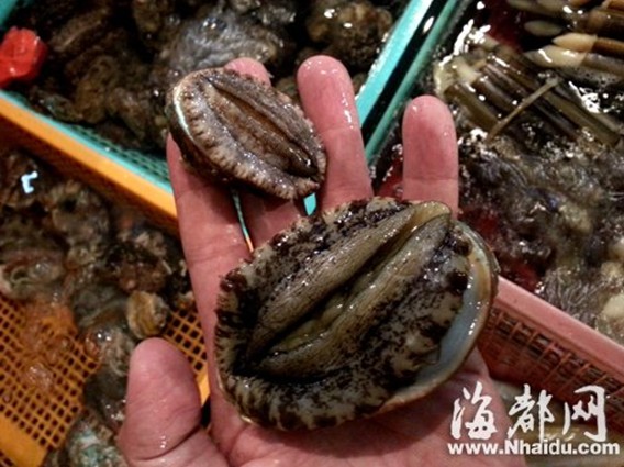 福州新华都鲍鱼138元 斤 比农贸贵近半2