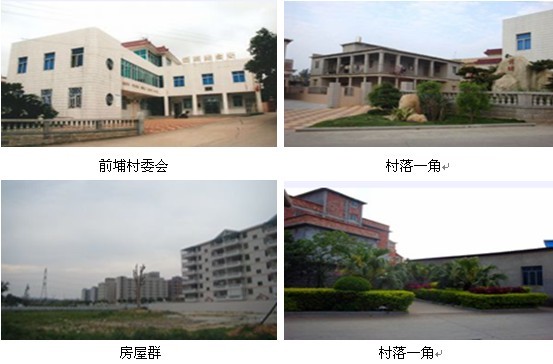 石狮镇人口_怀集冷坑镇人口2020