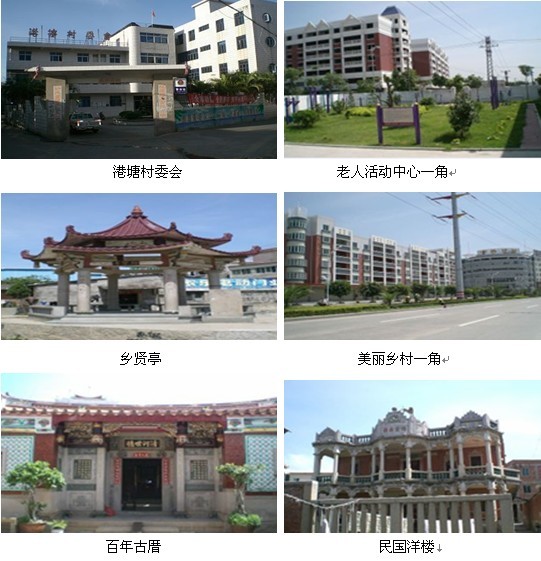 石狮市灵秀镇港塘 村委会
