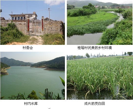 美国人口_安溪县人口