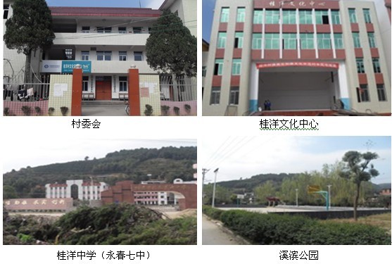 永春县桂洋镇桂洋村