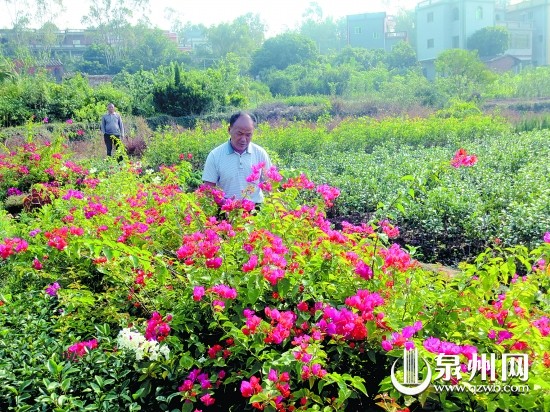 洛江区马甲镇永安村总人口_陇田镇永安村图片