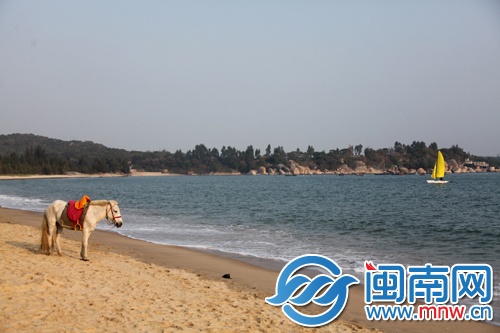 东山岛海滩