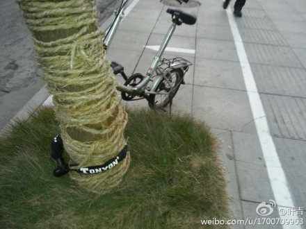 湖北统计局副局长半个月丢2辆自行车