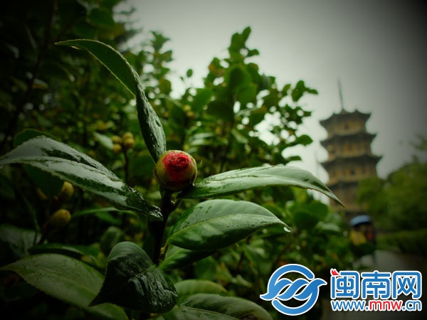 泉州地区天气预报:好消息雨渐停 坏消息天更冷