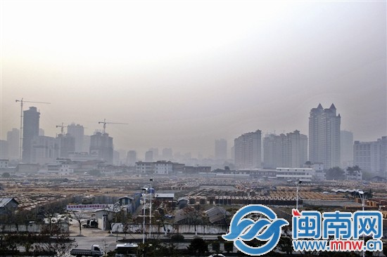 停建的漳州市新行政中心用地，现在用来晒板材