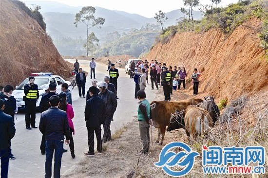 在两村交界处，民警宣读鉴定结果，村民围观
