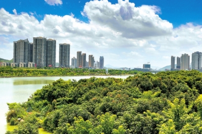 西溪两岸郁郁葱葱，生机盎然