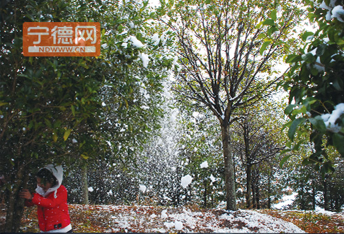 市民走进林间玩雪