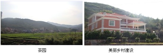 双都村地处虎邱镇西南的山区革命老区村:在镇政府驻地西南部26公里处,海拔580米。全村总人口1650人,4个自然角落,9个村民小组,全村耕地面积800亩,茶园面积1500亩,(主要种植:雪梨,黄金桂,铁观音,等安溪名茶)。林地面积14000亩。主要姓氏;李,林,陈,周,高。村两委5人,党员47人,小学一所,在校师生180人。茶叶专业合作社2家,全村80%以上村民从事茶叶生产。 近年来,双都村充分利用各种宣传手段,加大发展村集体经济的宣传教育力度,树立正确的舆论导向,充分认识发展村集体经济的重要性