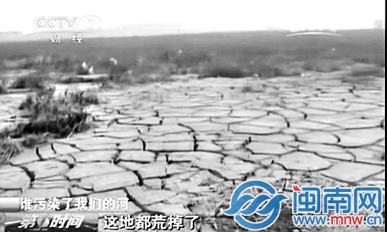 鱼虾尽死 居民出逃