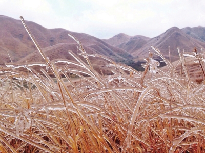 福建多地仍将降雪，图为柘荣草场雪景（网友“箴贺”
