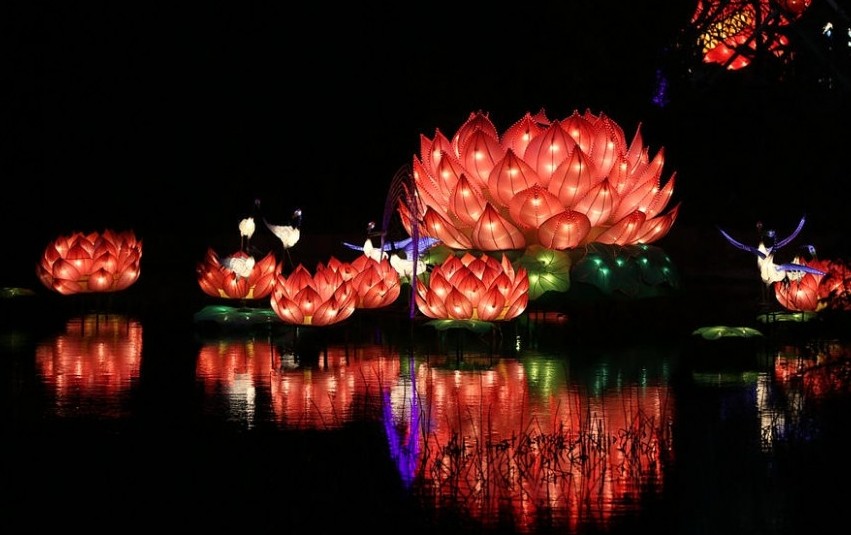 莲花花灯组