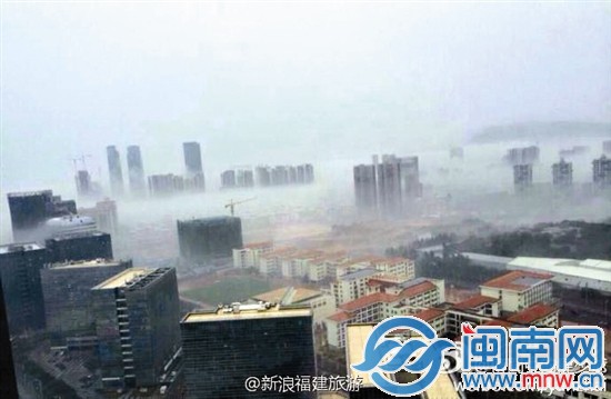 雾在城中行厦门成“仙境” 网友赞“美惨了”