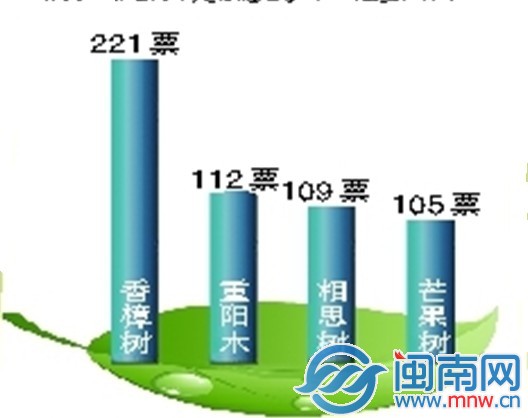截至昨日6点，漳州“市树”网络评选的投票结果