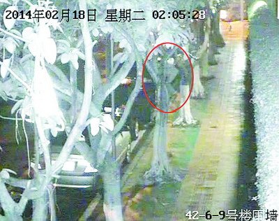 男贼靠近车子盗窃