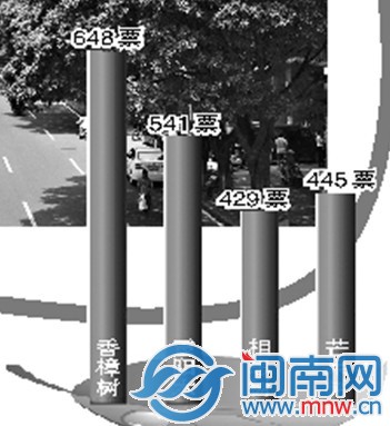 截至昨日傍晚6点，漳州“市树”网络评选的投票结果