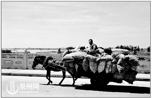 1990年,一匹马拉着满载粮食的车子悠闲地走过泉州大桥