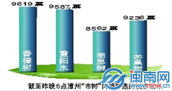 3月4日漳州市树评选网络投票情况