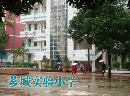 漳州市芗城实验小学学校教学师资水平及获得荣誉