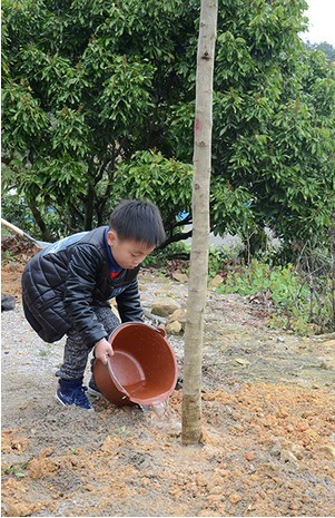 QQ图片20140311133526