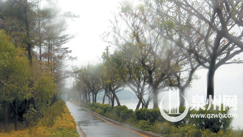 江滨北路石笋公园至金山公园段，风景如画。