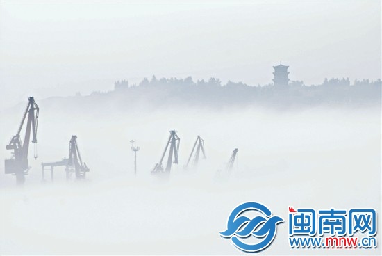 雾中的石狮石湖港码头（许师伟摄）