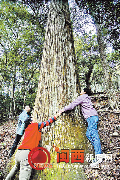 赖源乡人口_赖源乡郭地村(3)