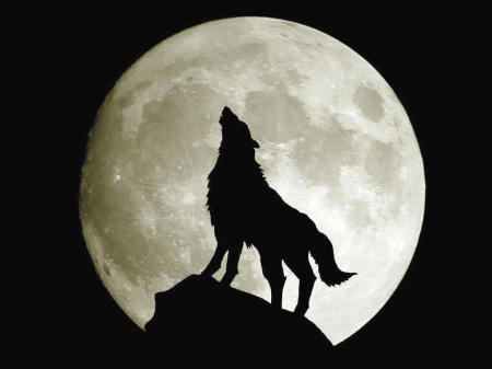 http:\/\/www.mnw.cn\/batch.download.php?aid