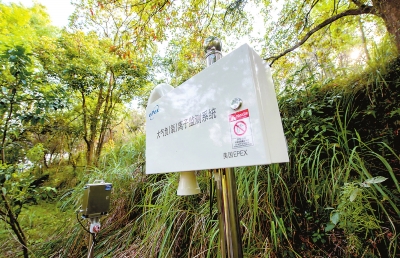 设立在灵应寺景区内的大气负（氧）离子监测设备。