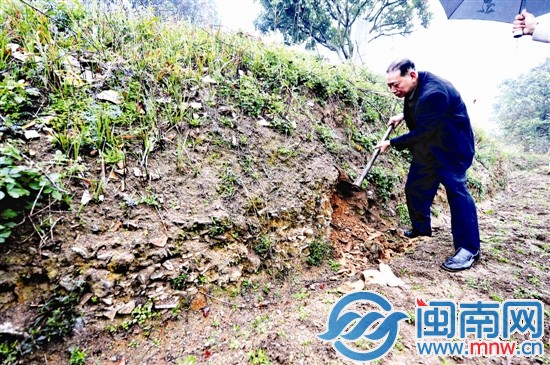 在田埂上，随便一挖可见瓷片堆积