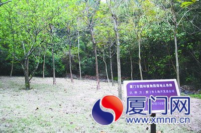 今年10家单位认养了500株树木，是开展认养活动以来