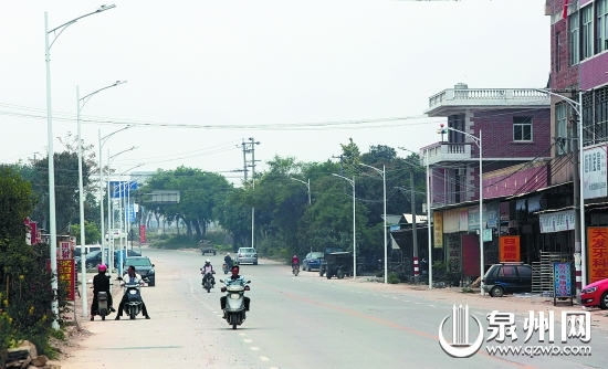 由村支书洪建南出资装的路灯整齐地排在村道两边