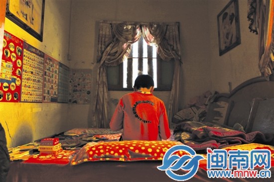 小斌独自呆在贴满动物图鉴的昏暗小屋里，才最安静