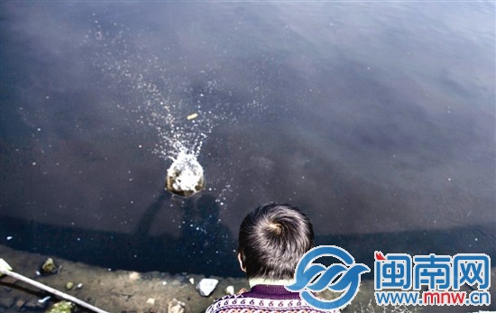 阿宝的乐园，是家门口那湾水塘