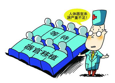 人口器官捐献_器官捐献(2)