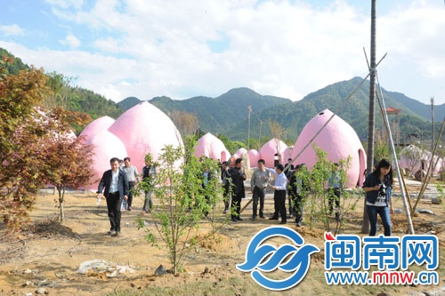 南埕镇桃花岛共有38座桃屋