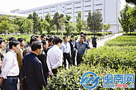 学员们到知名茶企参观学习