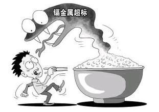 大米重金属镉含量超标