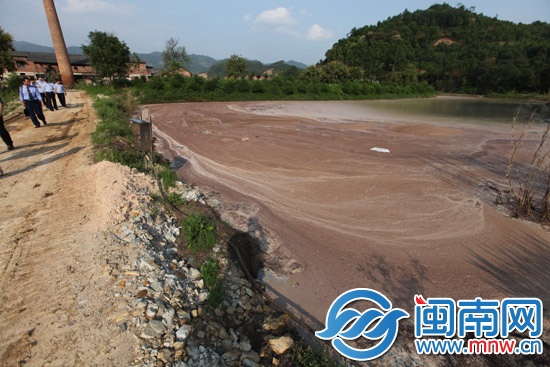 污水侵入永丰溪 死鱼一片1