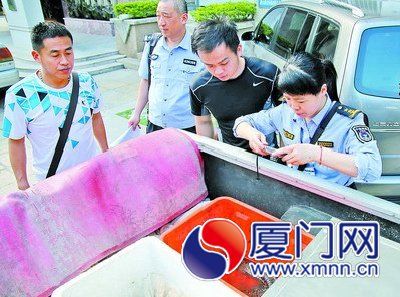 林业公安将查获的娃娃鱼等送交海洋渔业部门处理