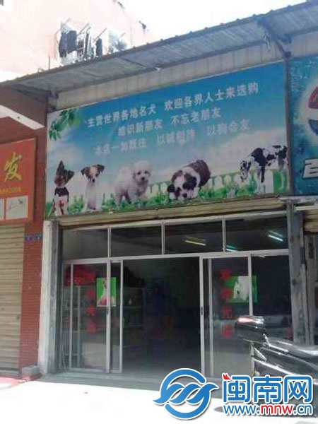 丰泽泉福宠物店店门