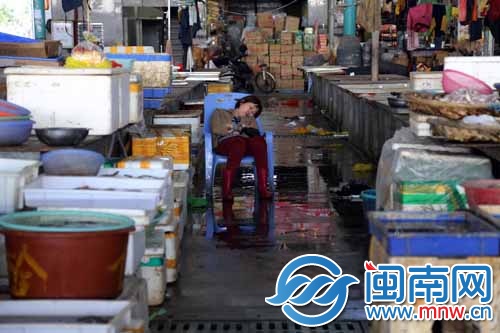 卖菜的阿姨趁没客人躺在椅上小憩